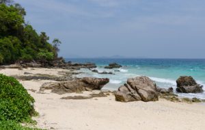 На Пхукете появились опасные медузы