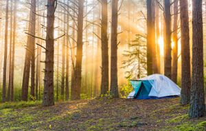 Кемпинговый лагерь: как организовать комфортный отдых на природе