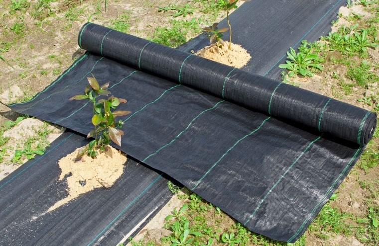 Геотекстиль: где и зачем используют этот универсальный материал