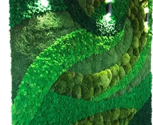 Озеленение искусственными растениями: современные решения